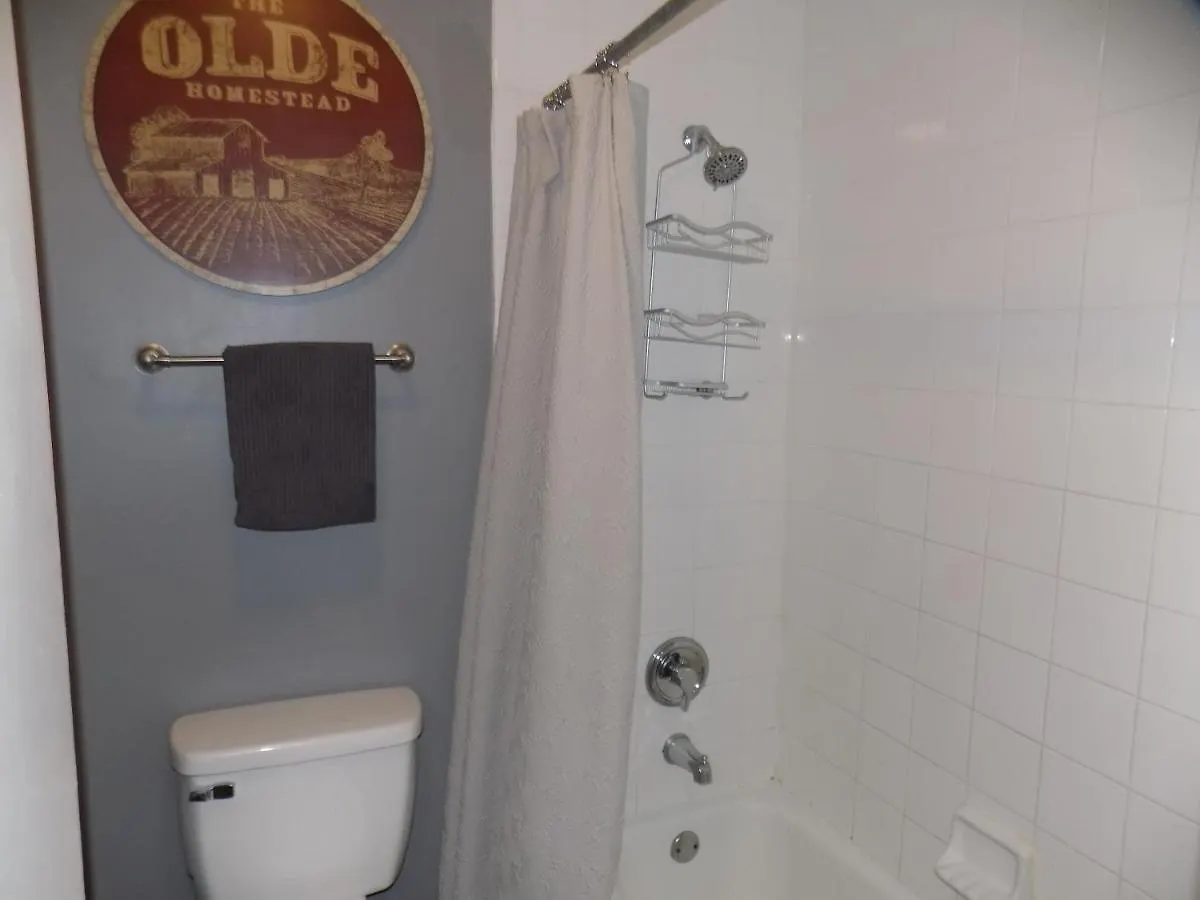 Heart Of Downtown/Walk To Broadway & The Action/Bars/Music Venues/Honky Tonks! Apartment Nashville United States
